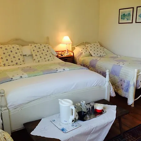 Trecarne House 4*