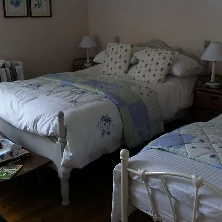 Trecarne House Bed & Breakfast